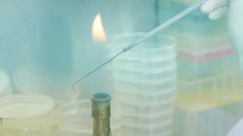 Scientist use fire to sterilize equipment in laboratory close up slow motion Stock Footage 158914989