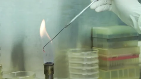 Scientist use fire to sterilize equipment in laboratory extra closeup slowmotion Video stock 158915068