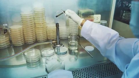 Scientist use fire to sterilize equipment in laboratory medium shot slow motion Stock Footage 158915209