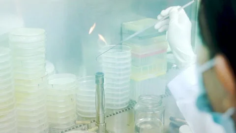 Scientist use fire to sterilize equipment in laboratory slow motion Vídeos de archivo 158915843
