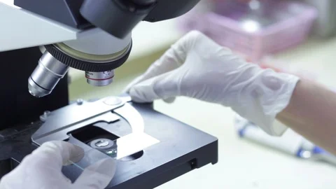 Scientist use microscope close up shot Stock Footage 88706628
