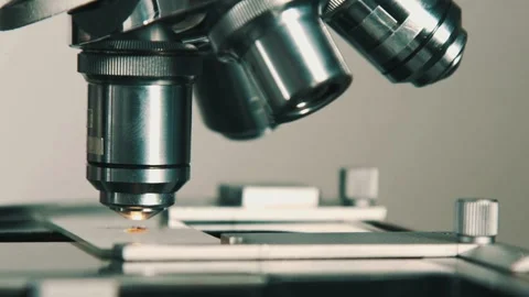 A scientist uses an electron microscope to examine the details of a virus. 스톡 동영상 336582699