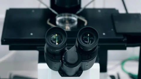A scientist uses an electron microscope to examine the details of a virus. 스톡 동영상 336582713