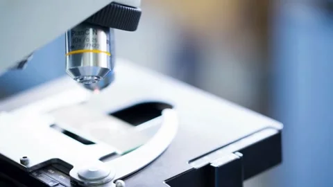A scientist uses an electron microscope to examine the details of a virus. 스톡 동영상 336582751