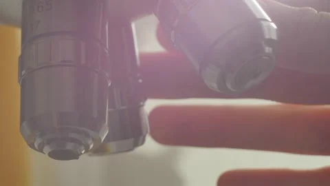 A scientist uses a microscope in the laboratory. Stock Footage 220337918
