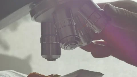 A scientist uses a microscope in the laboratory. Видео 220337919