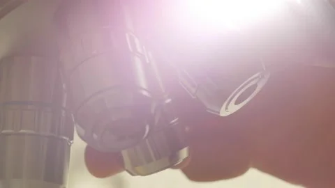 A scientist uses a microscope in the laboratory. Stock Footage 220337960