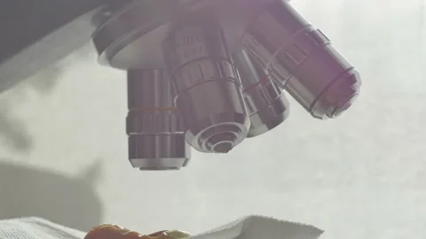 A scientist uses a microscope in the laboratory. Stock Footage 220337990