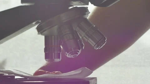 A scientist uses a microscope in the laboratory. Stock Footage 220338026
