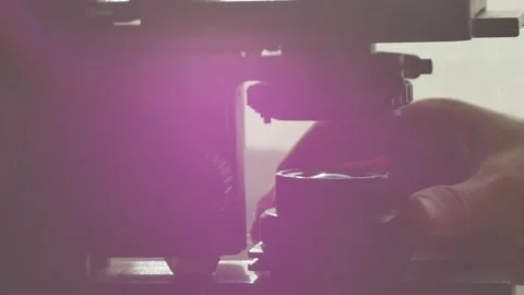 A scientist uses a microscope in the laboratory. Видео 220338050