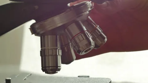 A scientist uses a microscope in the laboratory. Stock Footage 220338058