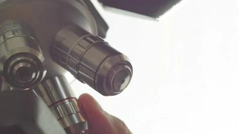 A scientist uses a microscope in the laboratory. Stock Footage 220338066