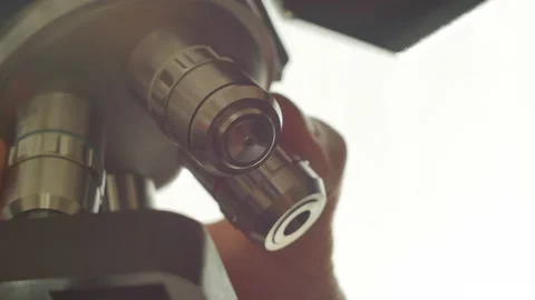 A scientist uses a microscope in the laboratory. Stock Footage 220338074