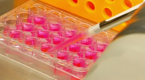 Scientist uses pipette to transfer samples Stock Footage 21529482