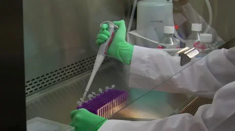 Scientist uses a pipette to transfer samples Stock Footage 21530251