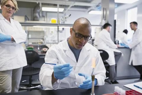 Scientist using Bunsen burner in laboratory Stock Photos