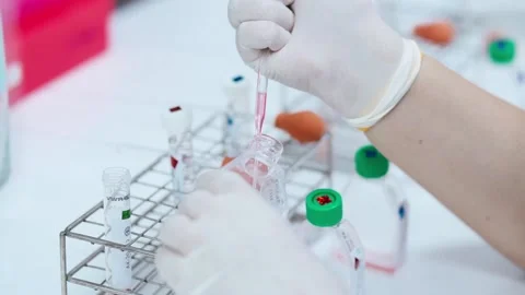 Scientist using dropper pipette transfer sample in Biosafety cabinet	 Stock Footage 133444841