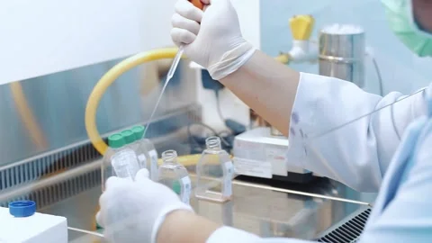 Scientist using dropper pipette transfer sample in Biosafety cabinet	 Stock Footage 133444851