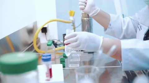 Scientist using dropper pipette transfer sample in Biosafety cabinet	 Stock Footage 134057870