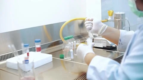 Scientist using dropper pipette transfer sample in Biosafety cabinet	 Stock Footage 134057879
