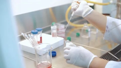Scientist using dropper pipette transfer sample in Biosafety cabinet	 Stock Footage 134057882