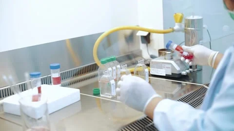 Scientist using dropper pipette transfer sample in Biosafety cabinet	 Stock Footage 134273735