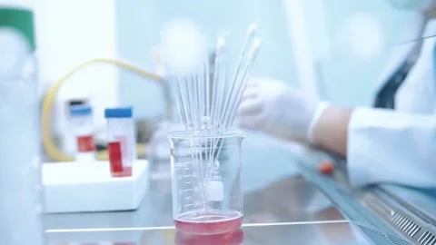 Scientist using dropper pipette transfer sample in Biosafety cabinet	 Stock Footage 134273738