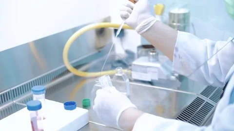 Scientist using dropper pipette transfer sample in Biosafety cabinet	 Stock Footage 134551195