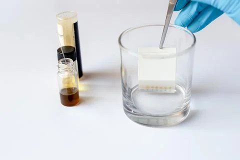 Scientist Using Forceps to Immerse Spotted TLC Plate into Developing Tank S.. Stock Photos