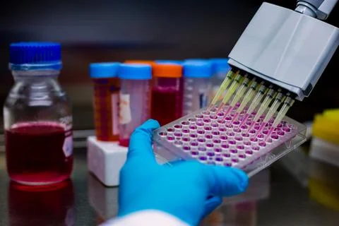 Scientist using micropipette or multi pipette in sample preparation for bio.. Stock-Fotos