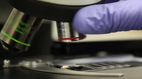 Scientist Using A Microscope Video stock 125702660