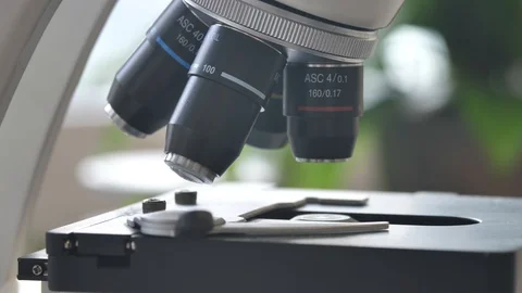 Scientist Using A Microscope In Laboratory, CoronaVirus Cure  Research, Germany Stock Footage 127701483