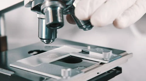 Scientist using a microscope in laboratory Stock-Footage 56371197