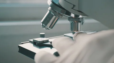 Scientist using a microscope in laboratory Stock-Footage 59821316