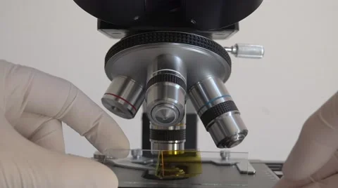Scientist Using a Microscope In Laboratory Stock Footage 62377307
