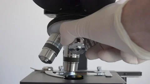 Scientist Using a Microscope In Laboratory Stock Footage 62377368