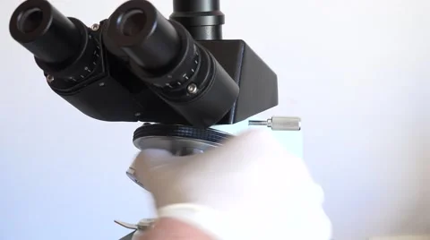 Scientist Using a Microscope In Laboratory Stock Footage 62377403