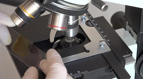 Scientist Using a Microscope In Laboratory Stock Footage 62377490