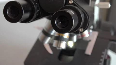 Scientist Using a Microscope In Laboratory Stock Footage 62377498