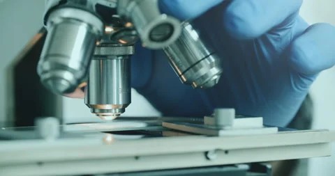Scientist using microscope in laboratory 스톡 동영상 308479626