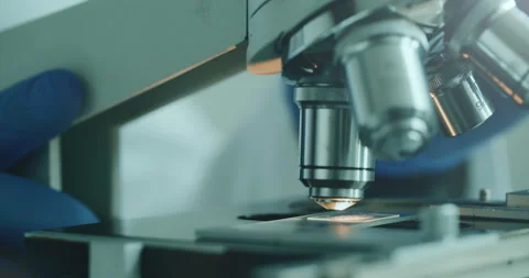 Scientist using microscope in laboratory 動画素材 308480064