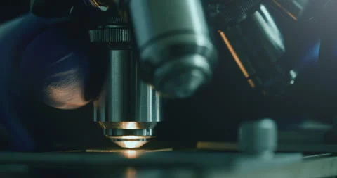 Scientist using microscope in laboratory Vídeos de archivo 308480067
