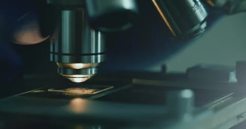 Scientist using microscope in laboratory Vídeo Stock 308480115