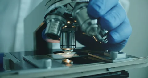Scientist using microscope in laboratory Vídeo Stock 308480560