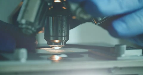 Scientist using microscope in laboratory Vídeo Stock 308480562