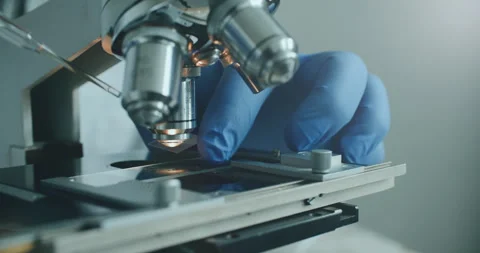 Scientist using microscope in laboratory 動画素材 308480573