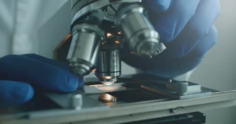 Scientist using microscope in laboratory Vídeo Stock 308480583