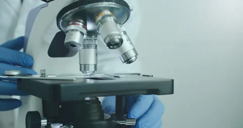 Scientist using microscope in laboratory Vidéo 308480720