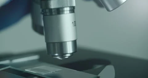 Scientist using microscope in laboratory Stock Footage 308480912