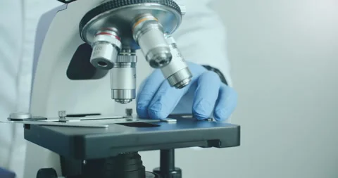 Scientist using microscope in laboratory Stock Footage 308480936